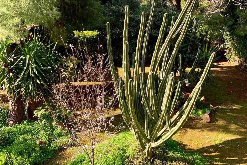 Athens Riviera Garden Views Apartment #Unoblu מראה חיצוני תמונה